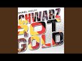 Miniature de la vidéo de la chanson Schwarz-Rot-Gold (Disco Version)
