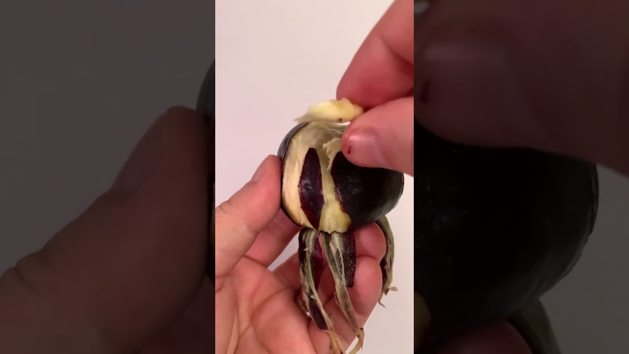 Flippin’ Fig Magic - A Funky Fruit Twist! 