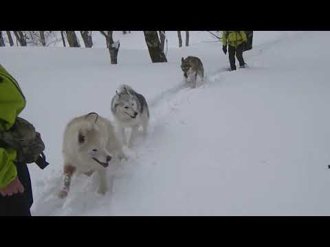 スノーシュー’25　３月