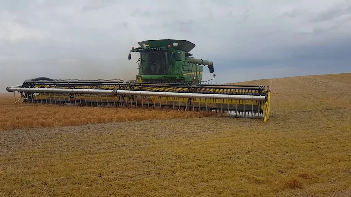 Honeybee Airflex head with AWS Airbar harvesting Lentils.