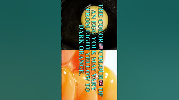 Color of an Egg Yolk🟠