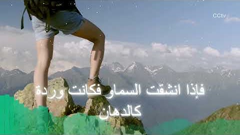 Surah Ar-Rahman (سورة الرحمن) | Relaxing Lofi Quran for Deep Sleep, Stress Relief & Inner Calm