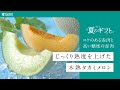【2025年夏ギフト】飯岡メロン研究会の木熟タカミメロン