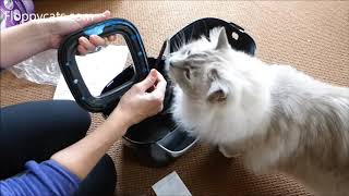 Litter Genie Video: How To and Litter Genie Plus Rebate Petsmart  Floppycats