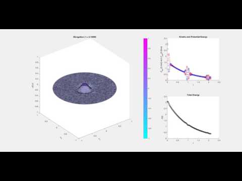 Numerical simulation of