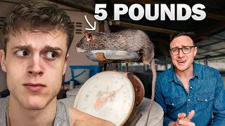 Thailand’s Colossal Farm Rats Are INSANE