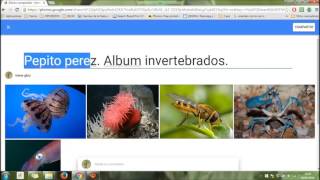 Cómo crear álbum de fotos en Google+ screenshot 4