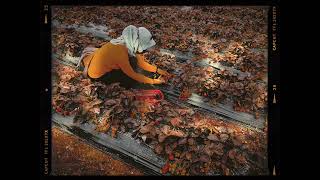 Aku ini siapa By angkasa band