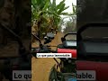 lo que pasó lamentable