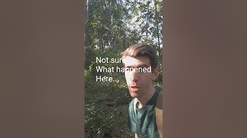 What does document vs create actually mean?