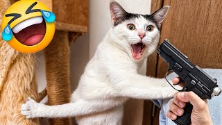 Funny ANIMALS videos🤪 Funniest Cats and Dogs 2024 😹🐶#18