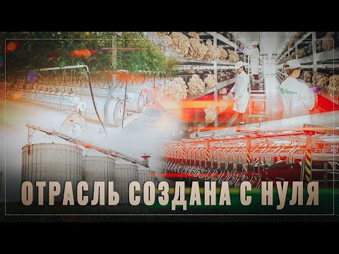 Тихо и незаметно: В России создали с нуля целую отрасль, обзор за месяц, 11 новых производств