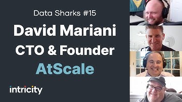 Data Sharks #15: David Mariani with AtScale