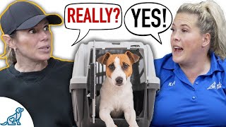 Puppy Crate Training Changes EVERYTHING!