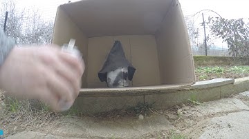 How to paint restore refresh refurbish gear shift boot of your car