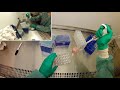 BME 245L Summer 2020 Lab day 5: Counting cells to get results for cell attachment assay
