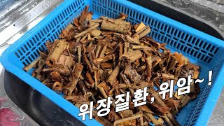 아무리 오래된 위장질환도 이것으로 완치~! 몸 속 구석 구석 숨어있는 암 세포 모두 녹인다. 아무리 오래된 위장질환도 이것으로 완치~! 몸 속 구석 구석 숨어있는 암 세포 모두 녹인다.