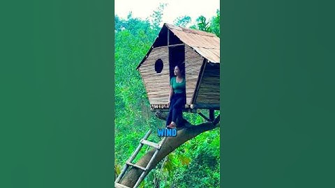 This woman built a house in a tree!#built #viralvideo #shorts