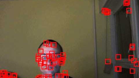 Pyramidal KLT Tracker