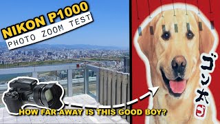 Nikon P1000: Zoom Photography Test - Doggo