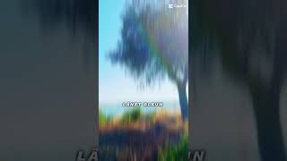 Galiba Düşüyorum Cehennemin Batağına Şfetteyiz