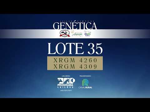 LOTE 35