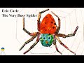 The Very Busy Spider Quiz