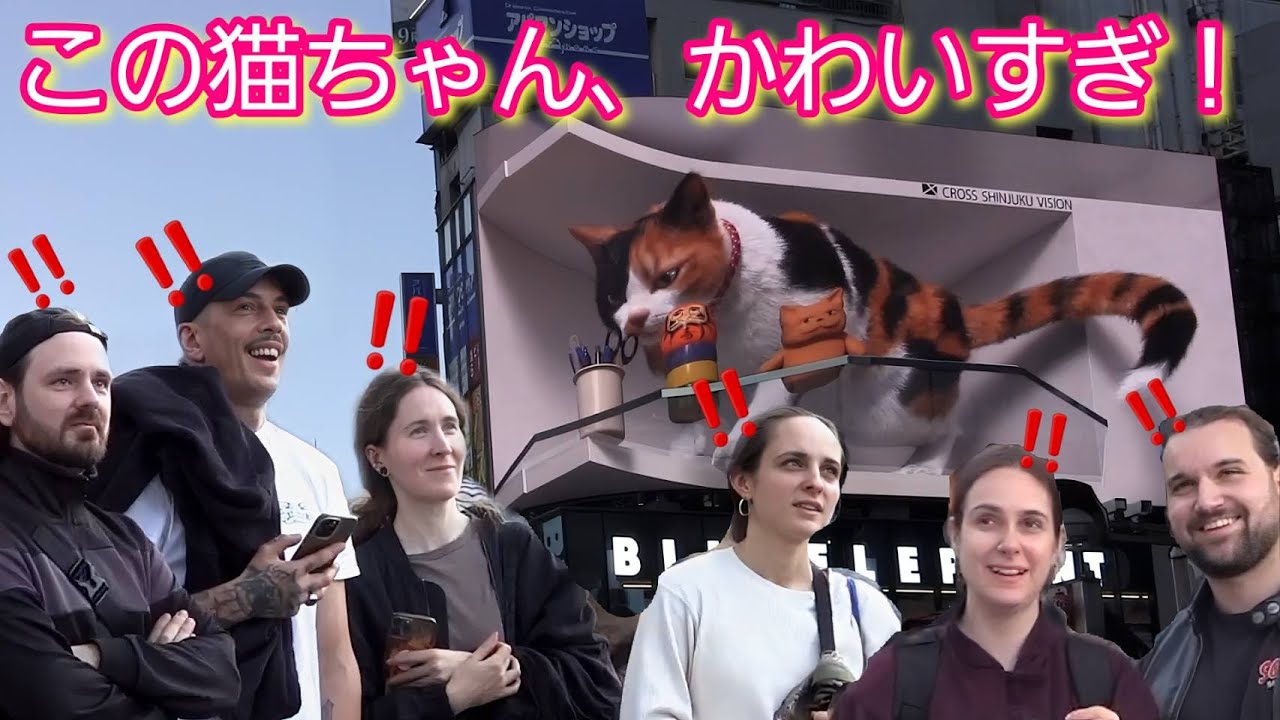 この猫ちゃんかわいすぎ！外国人観光客が新宿の3D広告に度肝を抜かれる