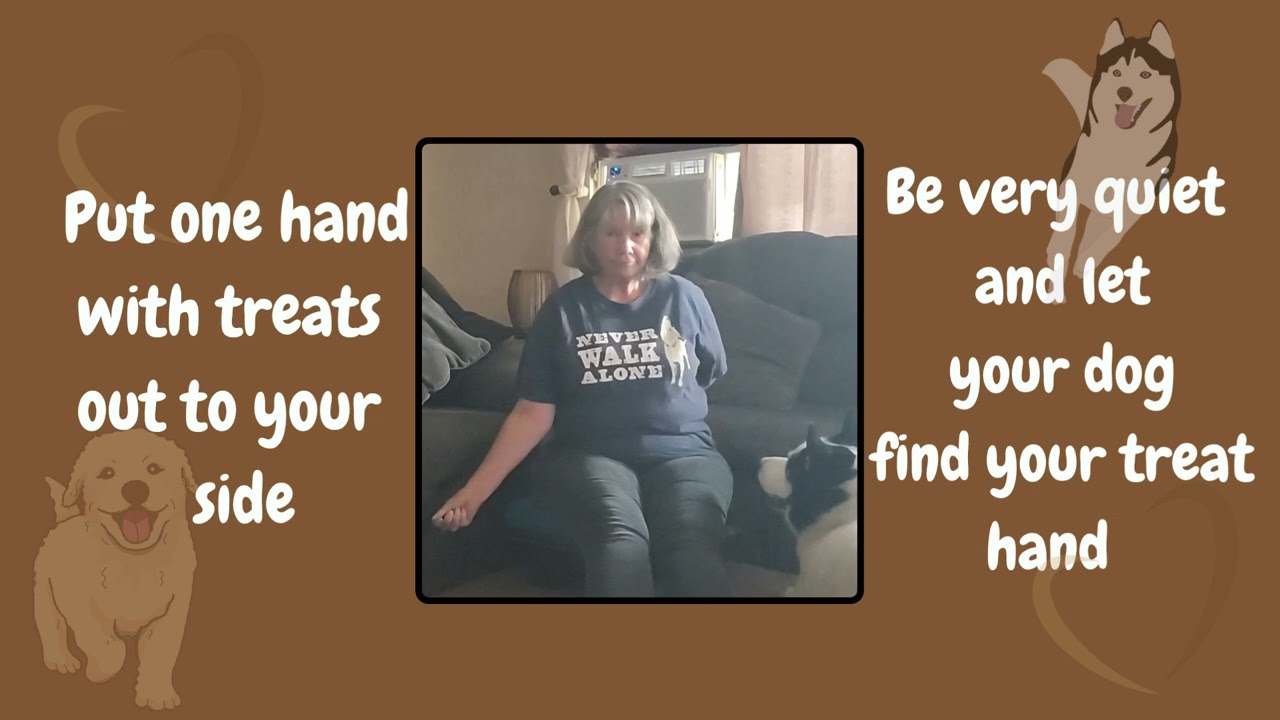 Can your Dog Solve Problems?  Behind the scenes...