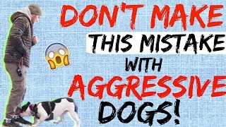 dog turning aggressive