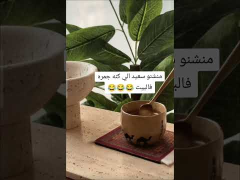 سعيد الي كنه جمرة في البيت ام قايد سوالف اكسبلور سوالف الاولين تيك توك ضحك لايك ترند قصص