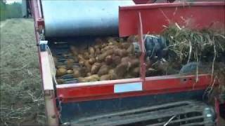 Potato Harvest 2010: Prince Edward Island