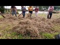 Sampaguita ces teachers rendered services during brigada eskwela 2020