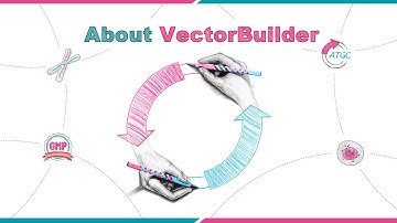 About VectorBuilder