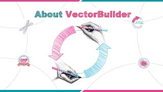 About VectorBuilder
