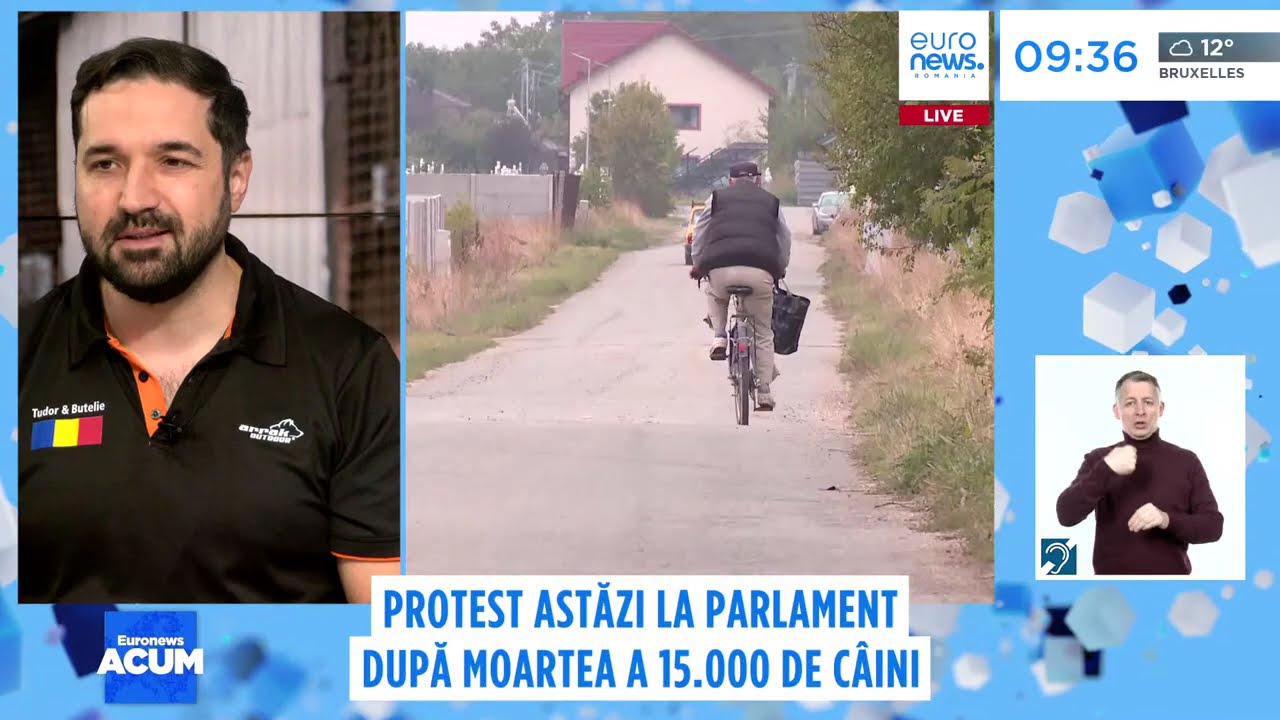 ONG-urile pentru protecția animalelor protestează după cazul adăpostului din Suraia