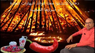 فوائد  و أضرار البهارات الحارة