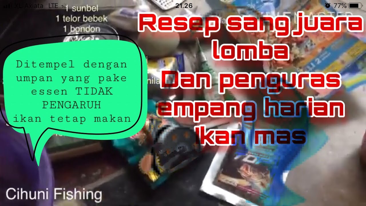 Umpan wangi ikan mas | lomba dan harian