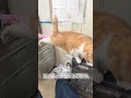 足なら長いよ