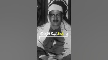 الم يجدك يتيما فاوى | محمد صديق المنشاوي | سورة الضحى