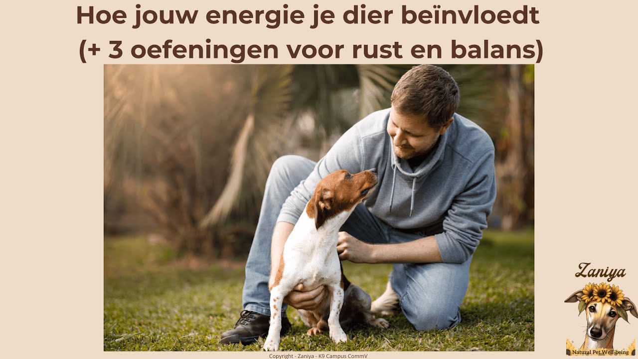 Dieren spiegelen jou: zo blijf jij in balans voor je hond of kat