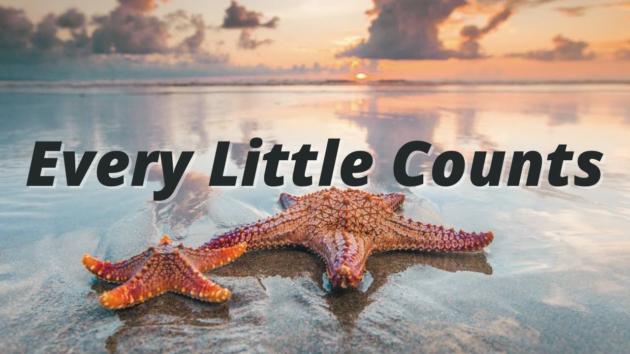 Everyone Can Make A Difference - The Starfish Story
