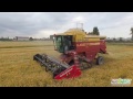 Rice harvesting with New Holland L627 MCS & 6m Laverda header | 4K