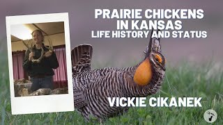 Vickie Cikanek: Life History and Current Status of Prairie Chicken in Kansas