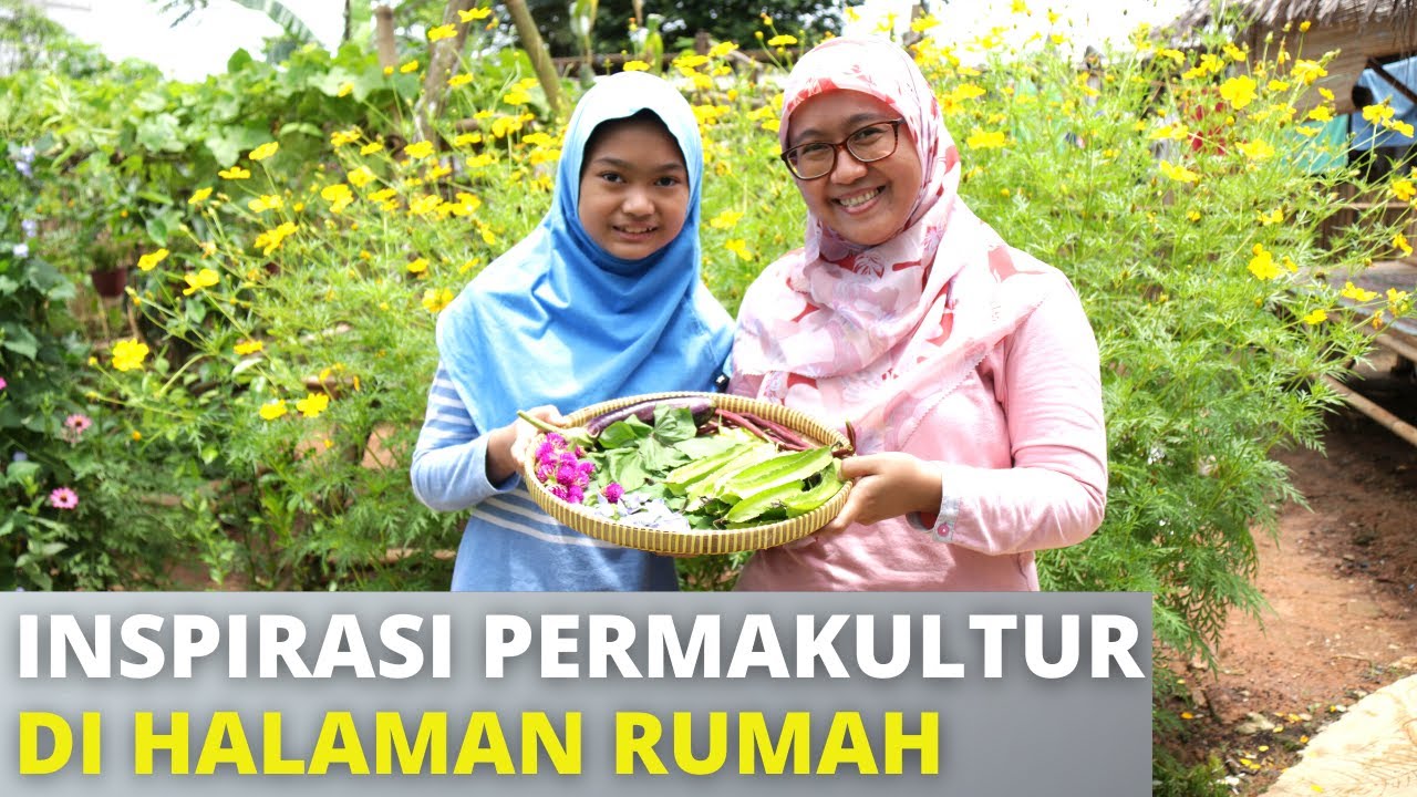 Berkebun dan Berbagi