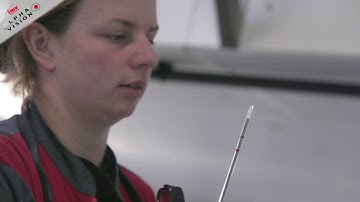 Testimonial (Italiano)- AlphaVision camera: More than just an insemination tool