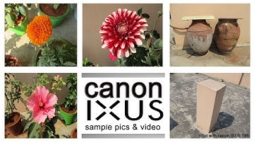 Canon IXUS 185 sample pics and video