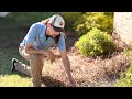 Pinestraw Installation DIY