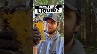 1930s logging camp remains. #bottledigging #treasurehunting #exploring #nature #vancouverisland