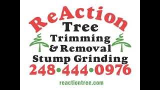 Tree Stump Grinding   Tree Stump Removal ReAction Tree Service West Bloomfield, MI